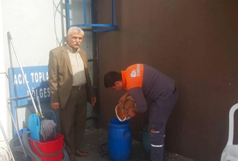 Adem Kartal at His Dog Shelter